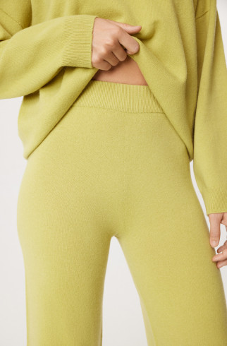 Брюки трикотажные Celestyna , Зеленый, арт. FR23FW4PN030K200GN купить в интернет-магазине