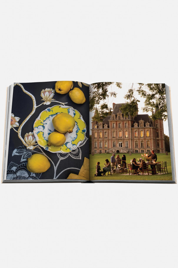 Книга ASSOULINE Chateau Life