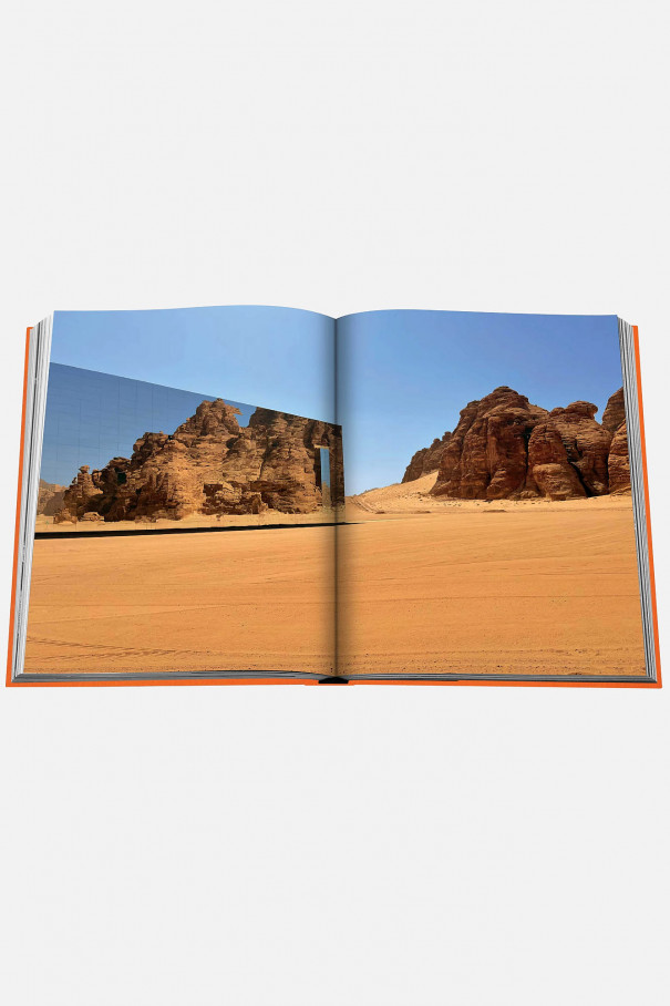 Книга ASSOULINE Alula Ever