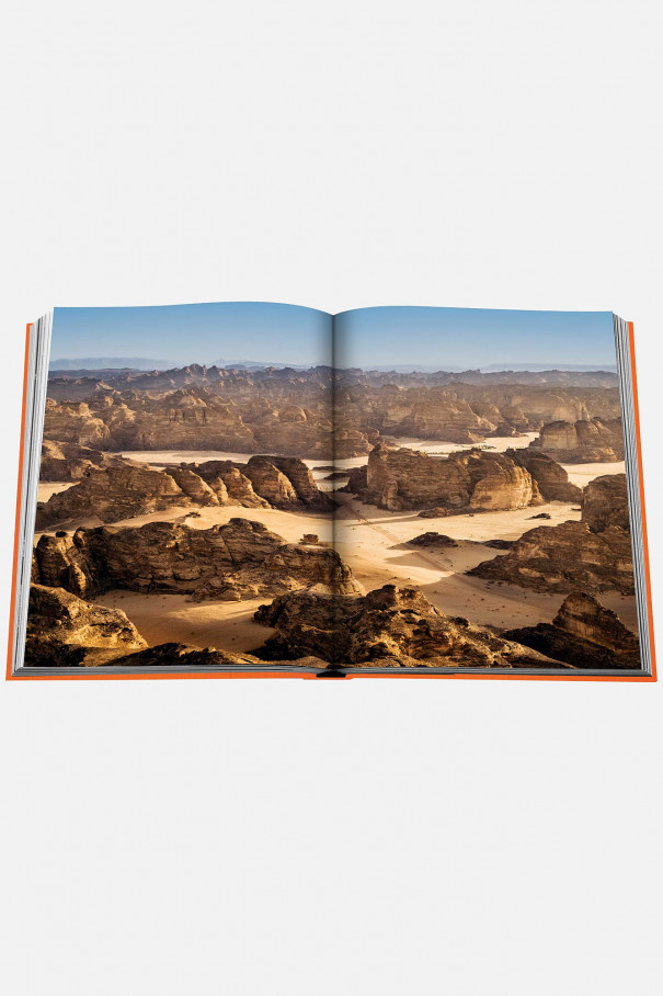 Книга ASSOULINE Alula Ever