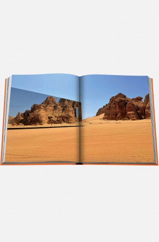 Книга ASSOULINE Alula Ever ,  арт. 9781649801562 купить в интернет-магазине