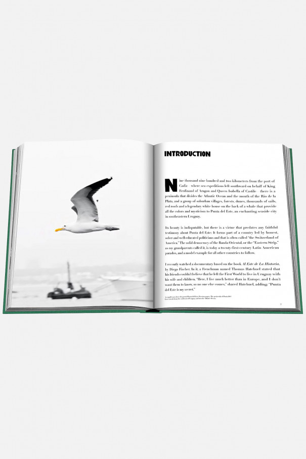 Книгa Assouline Travel Punta Del Este
