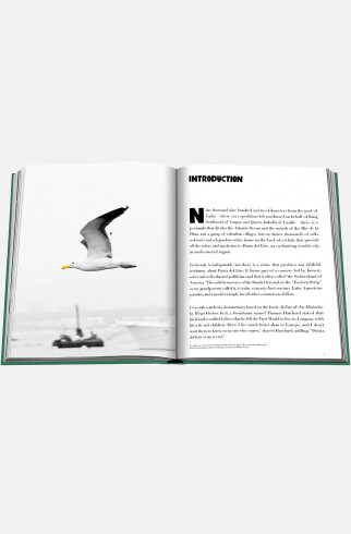 Книгa Assouline Travel Punta Del Este ,  арт. 9781649801845 купить в интернет-магазине